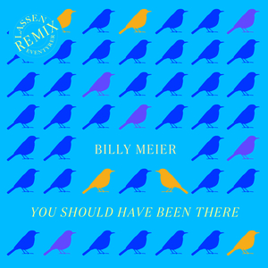 You Should Have Been There (Billy Meier Remix)