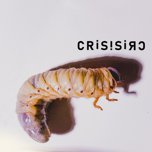 Crisis