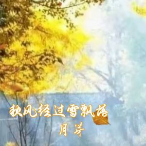 秋风经过雪飘落