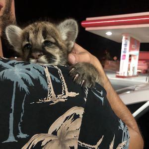 20_Fingers_-_Lick_It_(SKILL_x_ZAN_Remix)