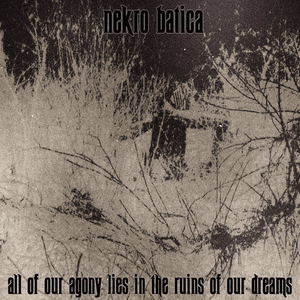 We Are Nothing But Empty Shells