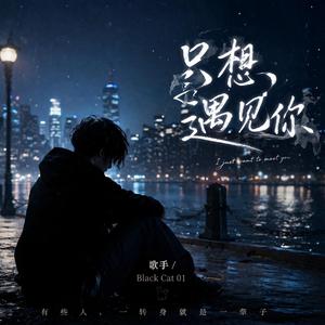 歌名: 只想遇见你