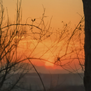 站在风里太久了