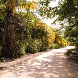 抚慰的轻松的早晨回忆