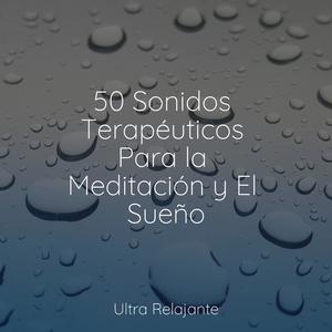 Conexión