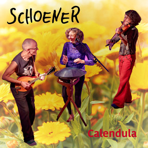 Calendula