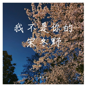 我不是你的宋冬野
