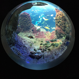 王勇 - All or nothing（Vigo Wang / 王勇 remix）