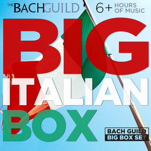 Vivaldi:Violin Concerto in G minor, RV 315, "L'estate" (The Four Seasons - Summer): III. Presto