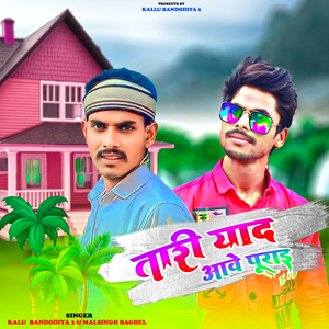 Tari yaad Aave Purai