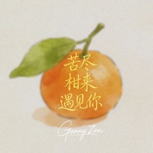 苦尽柑来遇见你