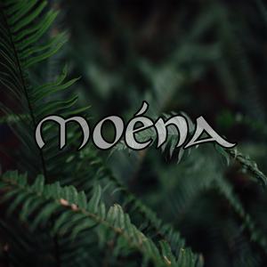 L'incanto della Foresta (feat. LARZ Moods)