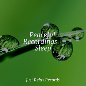 Solitude's Lingering Lullaby