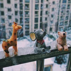 原谅我不明白你的悲伤