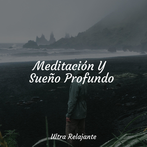 Hamaca En Los Árboles