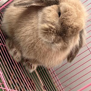 如果我明天离去(22版)