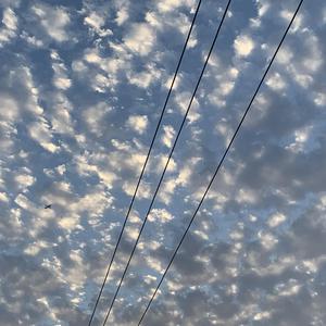 给我自己的礼物