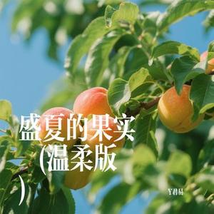 盛夏的果实  (Cover 四四真累)