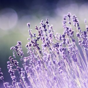 钢琴白噪音里的入眠序曲