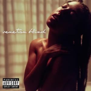 Venetian Blind