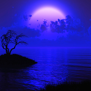 Moonlit Echoes (feat. Auy Adust)