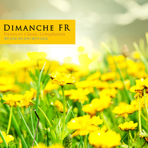 Bach: Brandenbrug Concerto No.5 In D Major BWV.1050 - I. Allegro