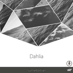 Dahlia