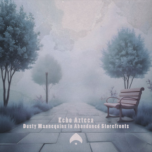 Misty Dawns at City Harbors