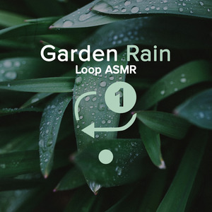 Garden Rain Loop Asmr