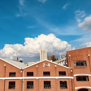 与你相似的故事