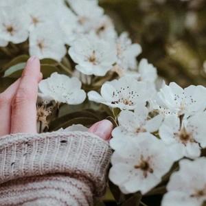 笼（原唱：张碧晨）