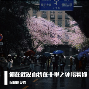 你在武汉而我在千里之外陪着你