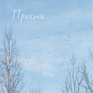 Прости
