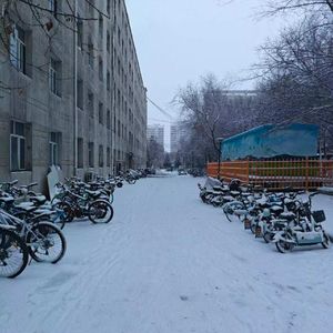 陪你冬日雪之约