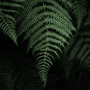 You’re the Only Girl