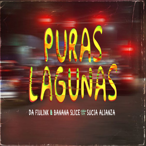 Puras Lagunas