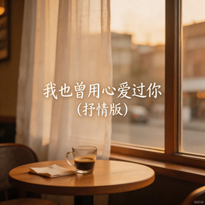 我也曾用心爱过你