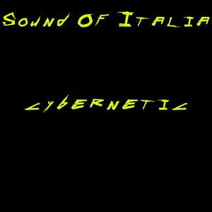 Cybernetic (Cyberpunk 2077)