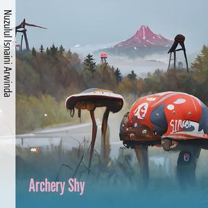 Archery Shy
