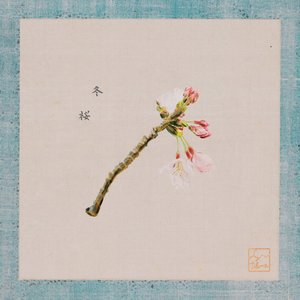 Fuyu-zakura