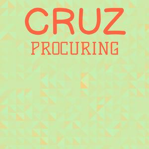 Cruz Procuring