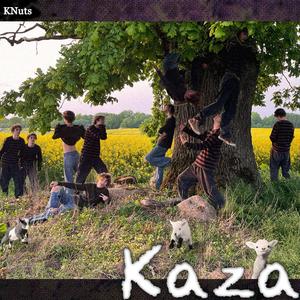 Kaza