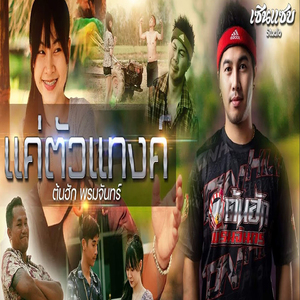 แค่ตัวแทงค์