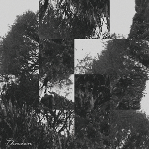 식은 얼굴을 만져줘요