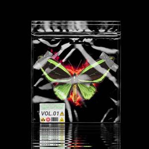 俺can fly 俺有翅膀