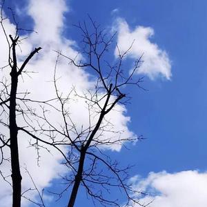 我们都不愿再等