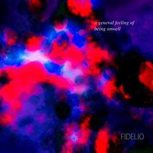 iapologizeforbodyshamingyourdreamcat