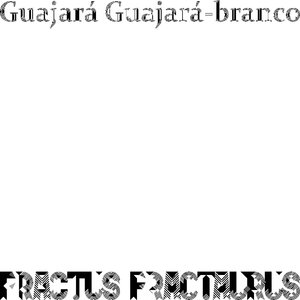 Barrote ereutofóbico