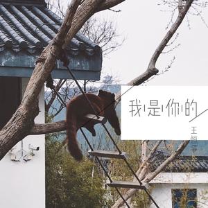 我是你的