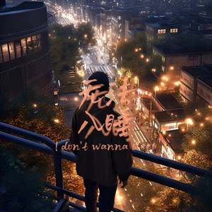 无法入睡（I.D.W.S）